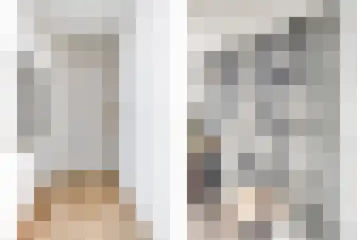 Baandervesting 90 Edam thumbnail 11