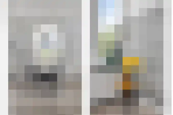 Baandervesting 90 Edam thumbnail 13