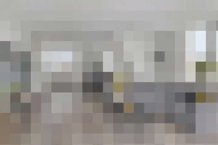 Baandervesting 90 Edam thumbnail 14