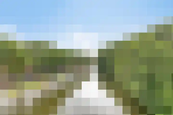 Baandervesting 90 Edam thumbnail 15