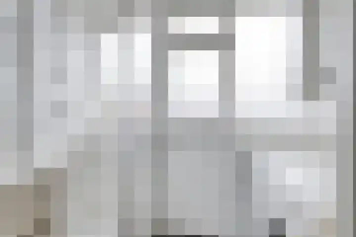 Baandervesting 90 Edam thumbnail 20