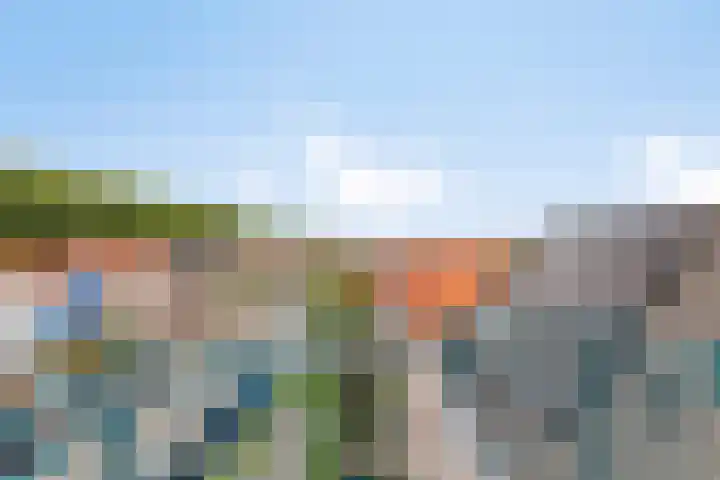 Baandervesting 90 Edam thumbnail 24