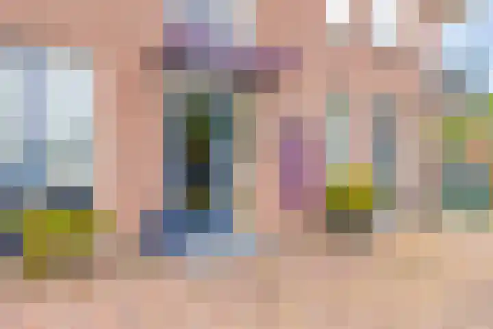 Baandervesting 90 Edam thumbnail 25