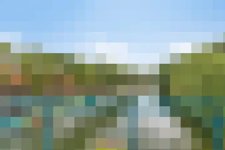 Baandervesting 90 Edam thumbnail 27