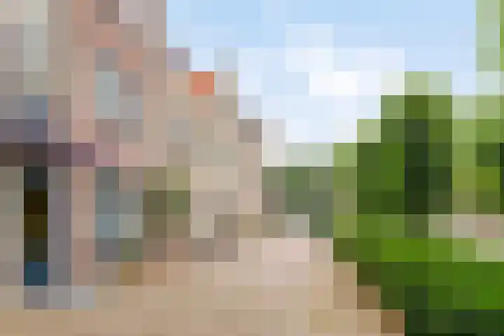 Baandervesting 90 Edam thumbnail 28