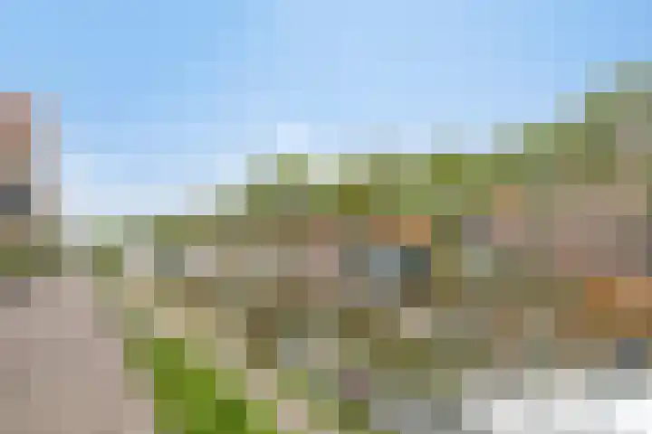 Baandervesting 90 Edam thumbnail 30