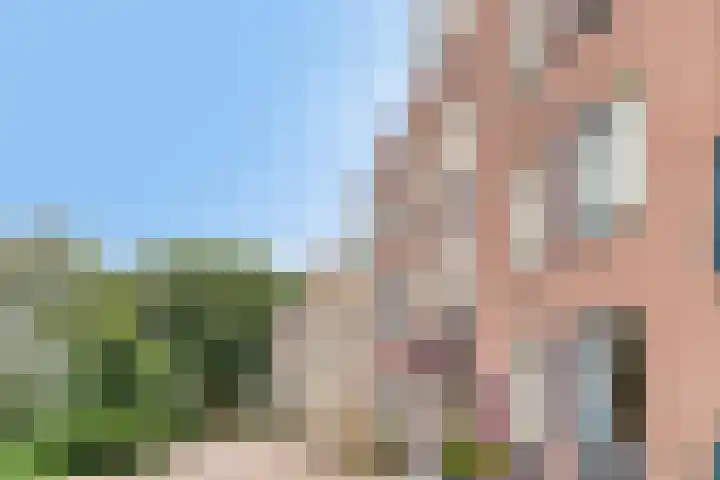 Baandervesting 90 Edam thumbnail 31