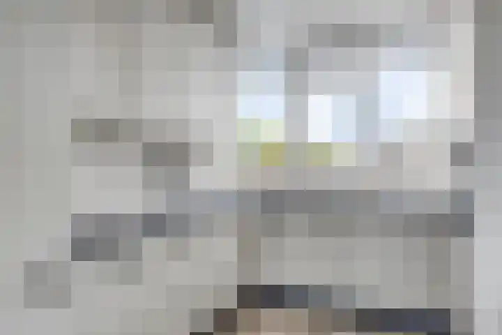 Baandervesting 90 Edam thumbnail 4