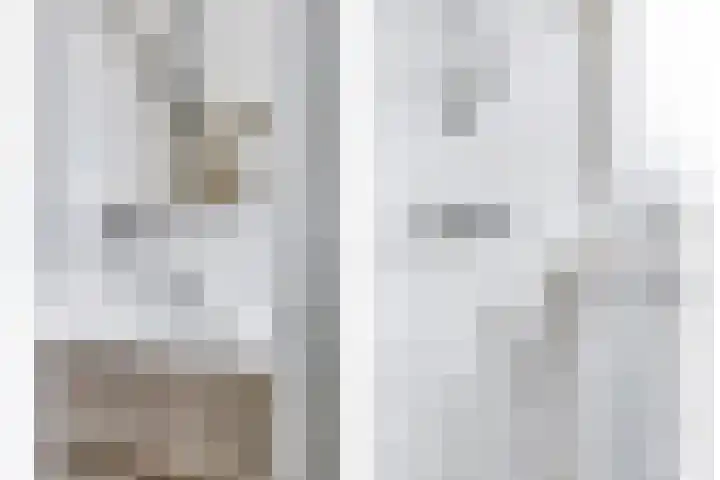 Baandervesting 90 Edam thumbnail 5