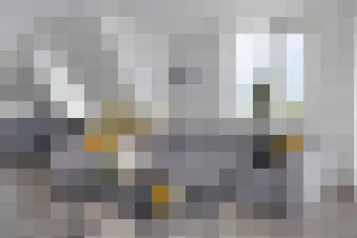 Baandervesting 90 Edam thumbnail 8