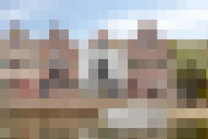 Baandervesting 94 in Edam