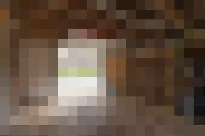 Baandervrouwenlaan 39 Boxtel thumbnail 54