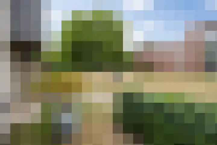 Baandervrouwenlaan 39 Boxtel thumbnail 58
