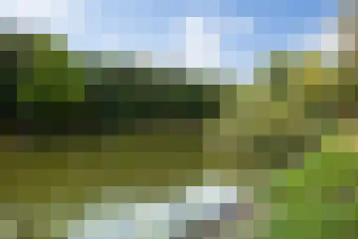 Baandervrouwenlaan 39 Boxtel thumbnail 60