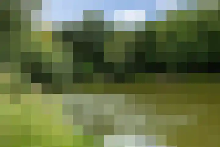 Baandervrouwenlaan 39 Boxtel thumbnail 61
