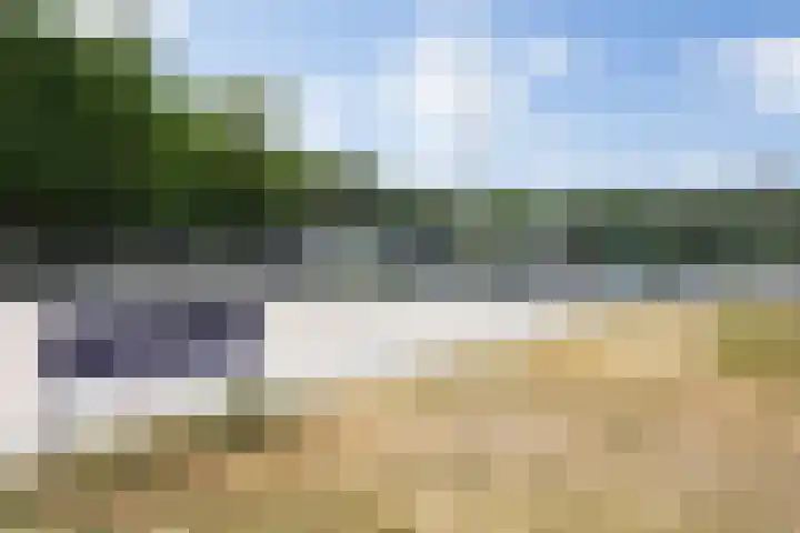 Baandervrouwenlaan 39 Boxtel thumbnail 62