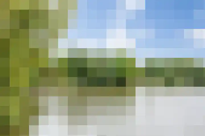 Baandervrouwenlaan 39 Boxtel thumbnail 63