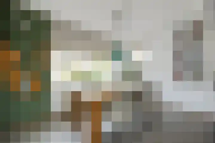 Baandervrouwenlaan 39 Boxtel thumbnail 9