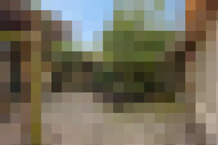Baandervrouwenlaan 78 Boxtel thumbnail 24