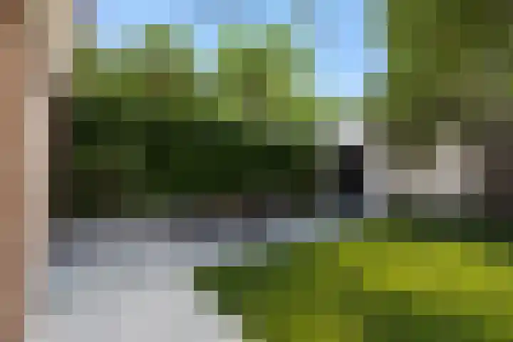 Baandervrouwenlaan 78 Boxtel thumbnail 26