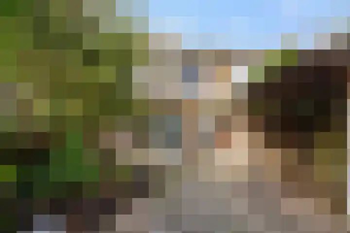 Baandervrouwenlaan 78 Boxtel thumbnail 27