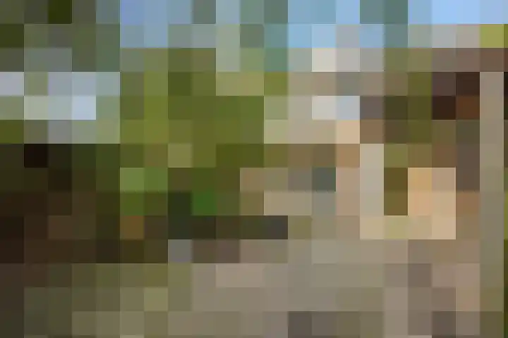 Baandervrouwenlaan 78 Boxtel thumbnail 29