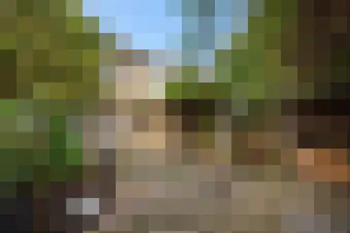 Baandervrouwenlaan 78 Boxtel thumbnail 30