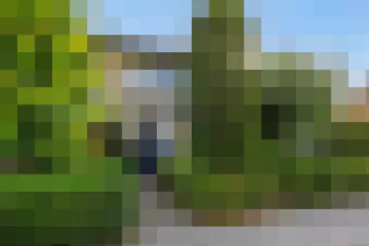 Baandervrouwenlaan 78 Boxtel thumbnail 31