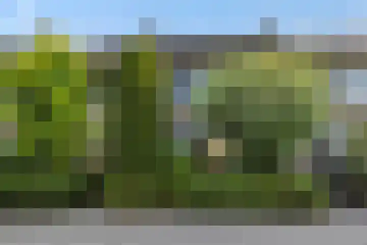 Baandervrouwenlaan 78 Boxtel thumbnail 32