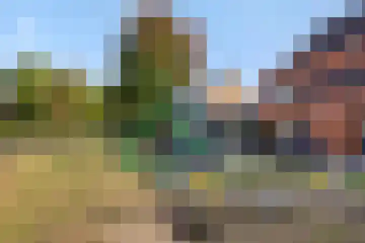Baandervrouwenlaan 78 Boxtel thumbnail 35