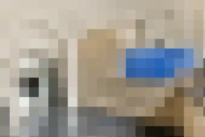 Baaneweer 41 Sliedrecht thumbnail 13