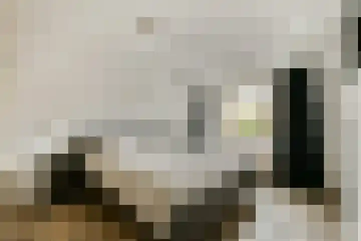 Baaneweer 41 Sliedrecht thumbnail 14