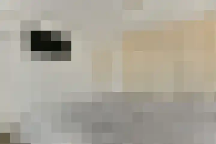 Baaneweer 41 Sliedrecht thumbnail 15