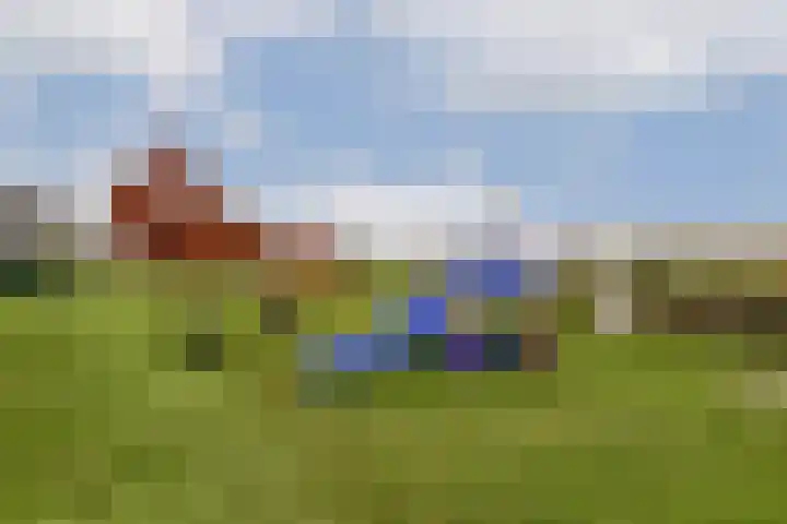 Baaneweer 41 Sliedrecht thumbnail 29