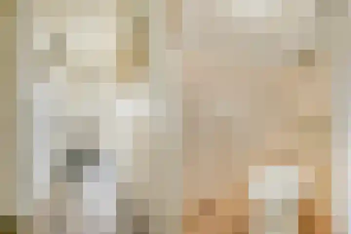 Baaneweer 41 Sliedrecht thumbnail 6