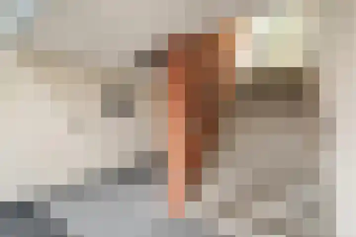 Baansingel 48 Alkmaar thumbnail 9