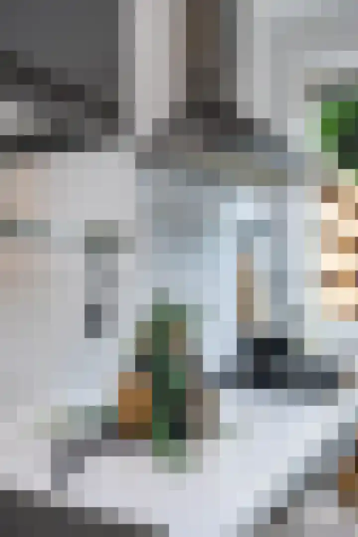 Baanstraat 13 Groningen thumbnail 17