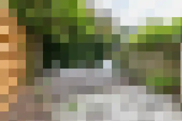 Baanstraat 13 Groningen thumbnail 19
