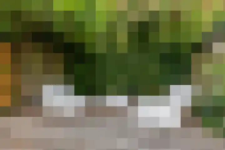 Baanstraat 13 Groningen thumbnail 20