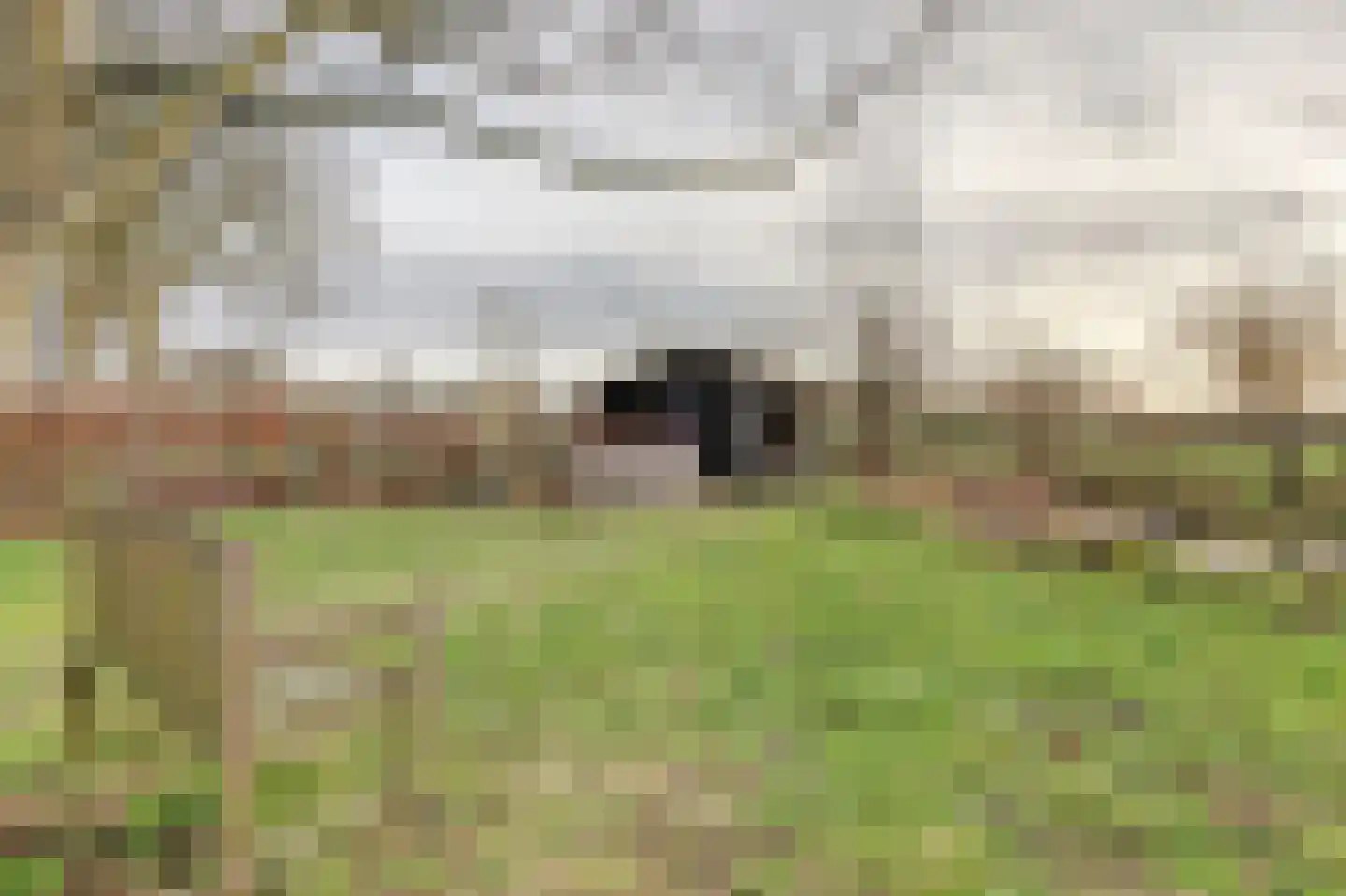 Baarhorsterdijk 8 Bathmen thumbnail 17