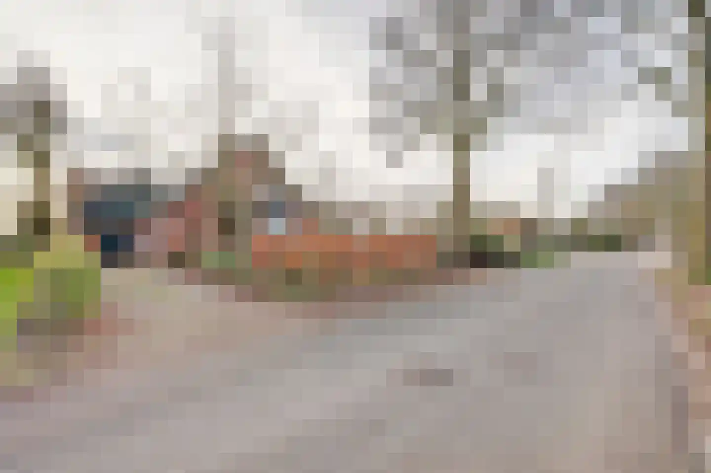 Baarhorsterdijk 8 Bathmen thumbnail 43