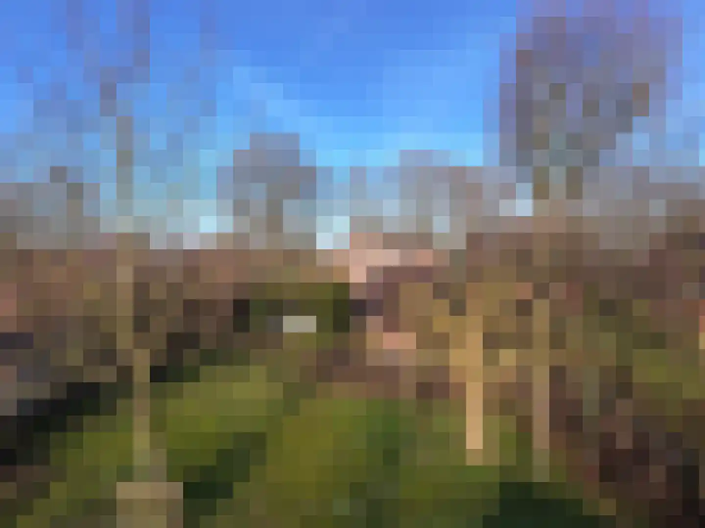 Baarhorsterdijk 8 Bathmen thumbnail 53