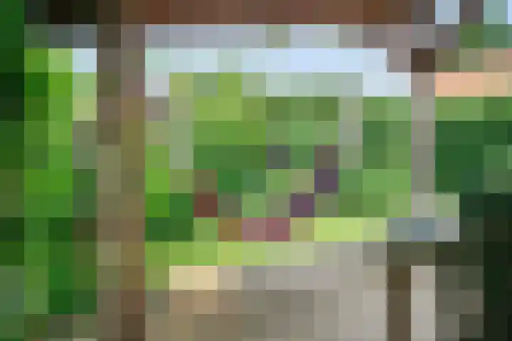 Baarleseweg 52 Alphen thumbnail 63
