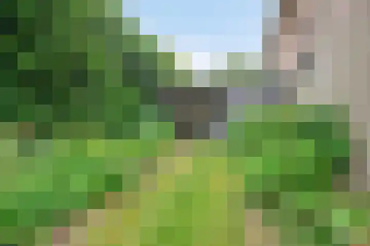 Baarleseweg 52 Alphen thumbnail 67