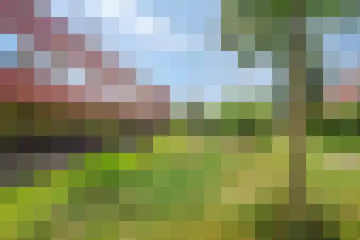 Baars 10 Amersfoort thumbnail 25