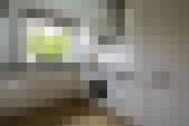 Baars 26 Borne thumbnail 11