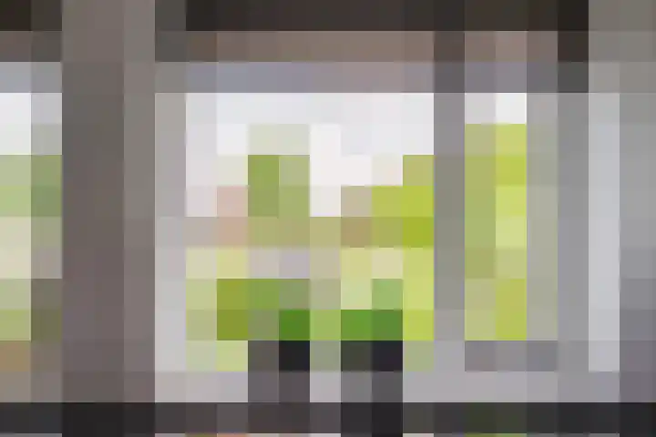 Baars 26 Borne thumbnail 12