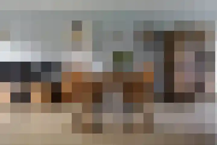 Baars 26 Borne thumbnail 13