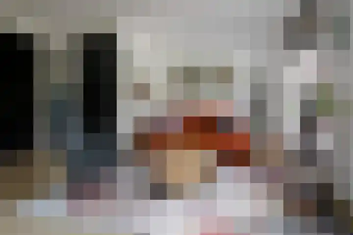 Baars 26 Borne thumbnail 14