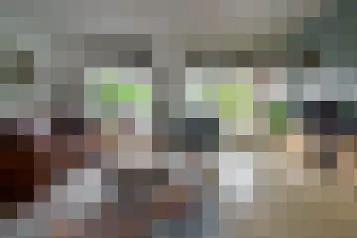 Baars 26 Borne thumbnail 15